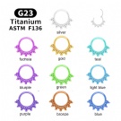 1pcs G23 Titanium Nose Ring Tragus Cartilage Earring lip ring 16G Cartilage Nose Ring Hinged segment rings Body Piercing Jewelry