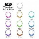F136 Titanium 16G Septum Cartilage Tragus Women Piercings Nose Rings Earring Clicker Hinged Seamles Body Piercing Jewellery
