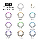 F136 Titanium Nose Ring Marquise Zircon Septum Piercing Hinged Segment rings Round Earrings Hoop Septum Clicker