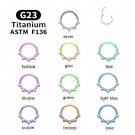 ASTM F136 TItanium  EAR Nose Ring Hoops Hinged segment rings 16G Segment Heart shape Clicker  Ear wheel Cartilage Piercing ﻿