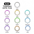 1PC ASTM F136 Titanium 16G Hinged segment rings Lip Segment Daith Earring Hoop Cartilage Piercing Jewelry