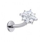 Wholesale G23 Titanium Push in with Multiple Cubic Zirconia Flower Shaped Ear Bone Rings of Different Cutting Shapes