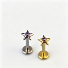 Simple and Fashionable Star studded purple Zircon Unthreaded Push in Perforated Earrings F136 Titanium Unisex Earrings Wholesale