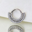 Unique Style G23 Titanium Fan-shaped Hinge Ring Double-layer Zircon Nasal Septum Perforated Women's Jewelry