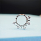 Triangular Edge with 5 Circular Zircon Nose Rings G23 Titanium Spikes Diaphragm Piercing Earrings Nose Rings Body Jewelry