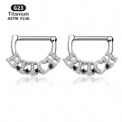 Wholesale F136 Titanium Transparent Zircon Letter Nipple Ring Tightened Shoe Nails Body Perforated Jewelry