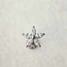 Wholesale Custom G23 Titanium Piercing 16G Flower Cartilage Internal Thread Lobe Ear New Five Petal Flower Flat Back Earrings