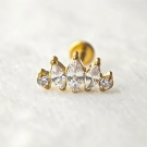 Wholesale Custom Implant Grade G23 Titanium Piercing Flat Back Earrings Internal Thread Horse Eye Zircon Crown Earring