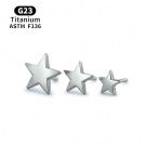 Wholesale F136 Titanium Star Shaped Non Threaded Nose Nail End Puncture Wholesale Push in Ear Screen Puncture